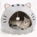 meleg kuckó macskák számára doromboláshoz